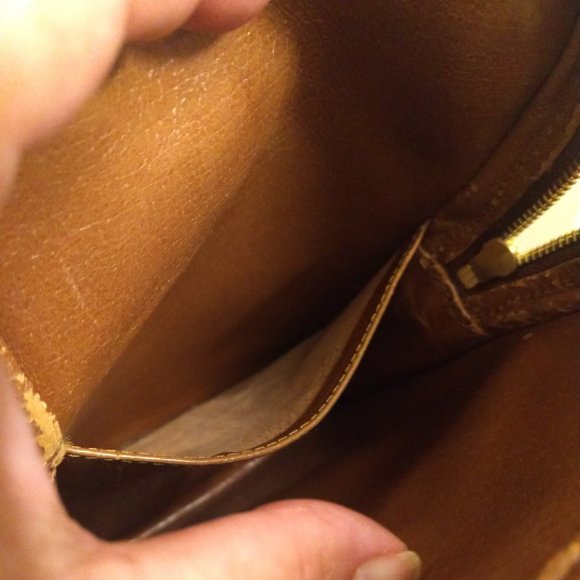 Louis Vuitton Mini Amazon with Detachable Strap - Picture 12 of 16